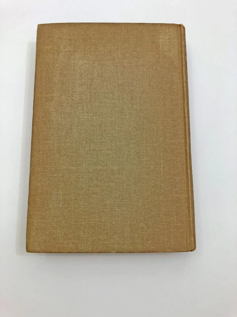 Famous Horse Stories by H V Larom Mountain Pony & Rodeo Mystery HB 1949